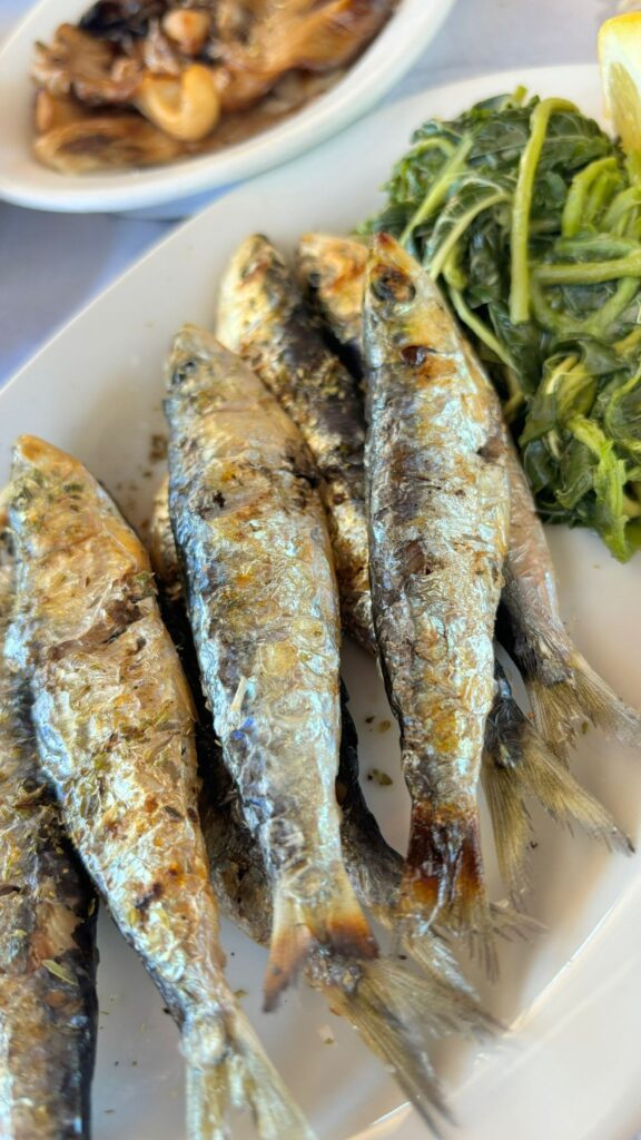 Tsipouro Meze