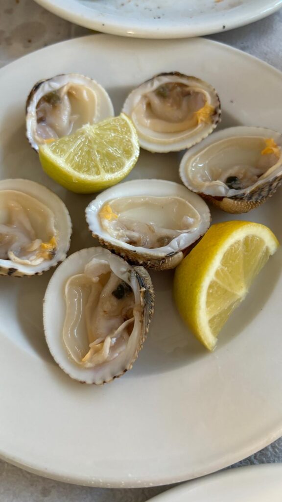 Muscheln